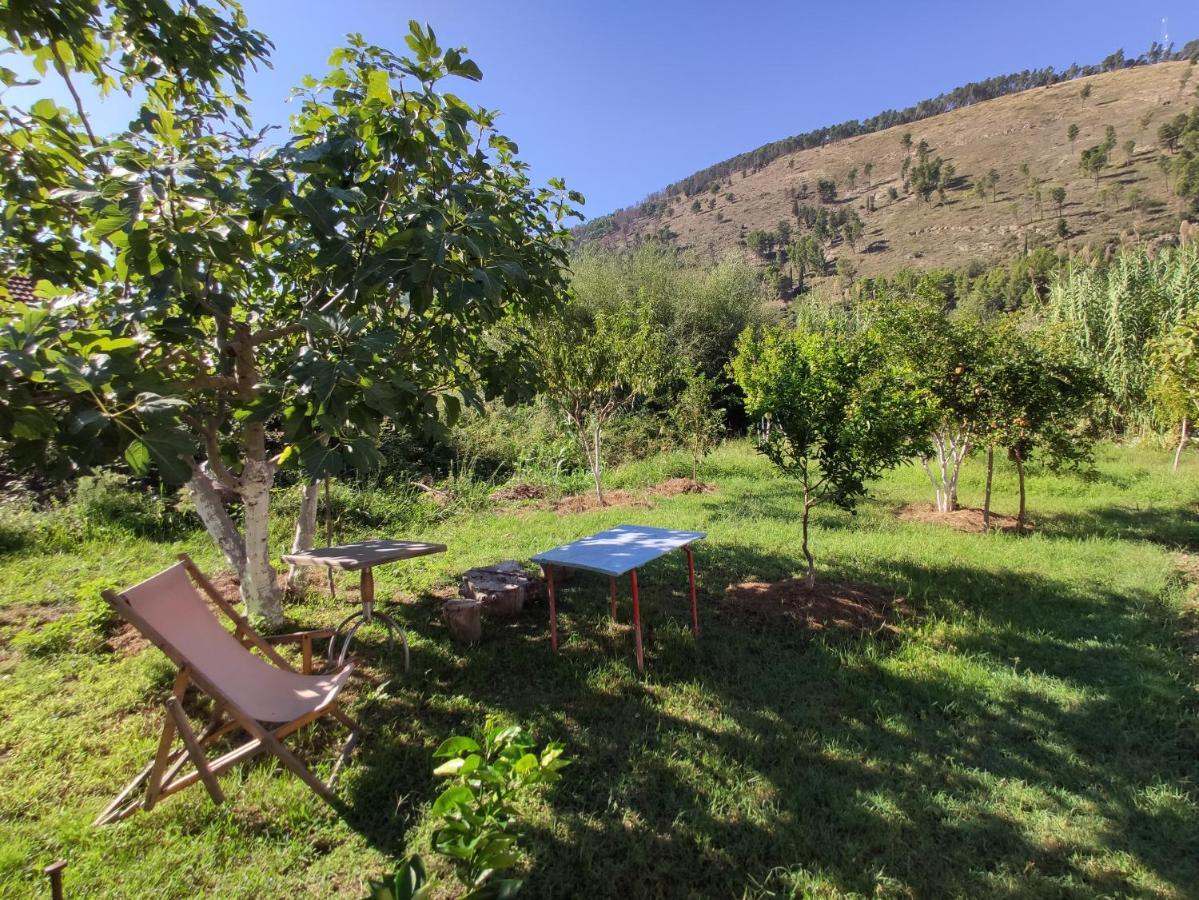 Olive B&B Μπεράτ Εξωτερικό φωτογραφία